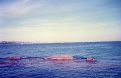 App0028.jpg  App0028